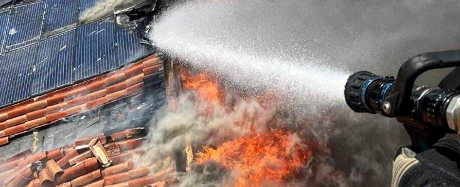 Immagine 2024 11 11 114700